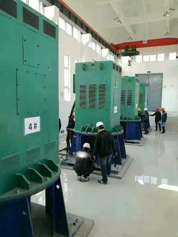 YKK450-6某污水处理厂使用我厂的立式高压电机安装现场
